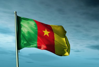 Flag of Cameroon 