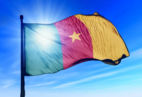 Flag of Cameroon — Stock Photo, Image