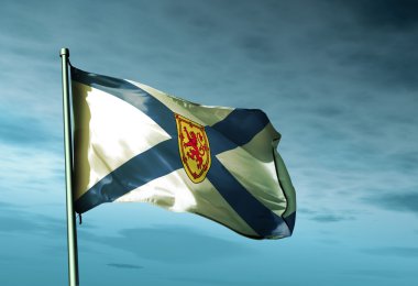 rüzgarda sallayarak nova scotia (Kanada) bayrağı