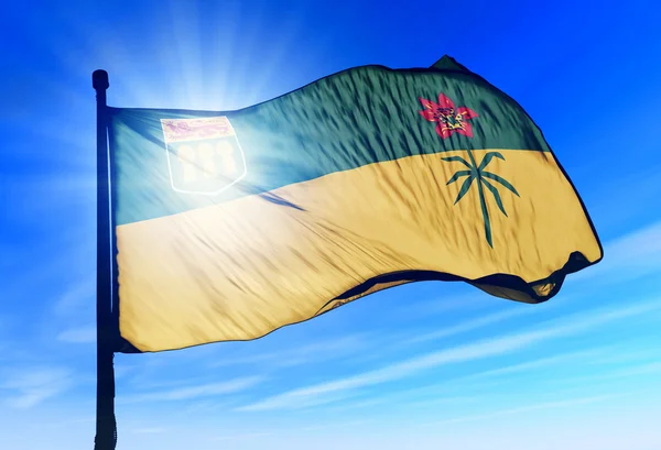 Bandeira de Saskatchewan (Canadá) acenando ao vento — Fotografia de Stock