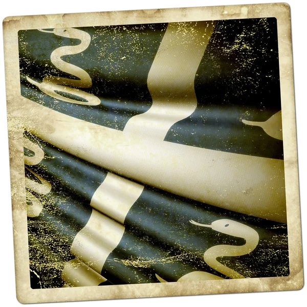 マルティニークの旗 — ストック写真