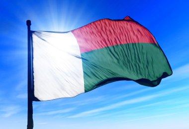 rüzgarda sallayarak Madagaskar bayrağı