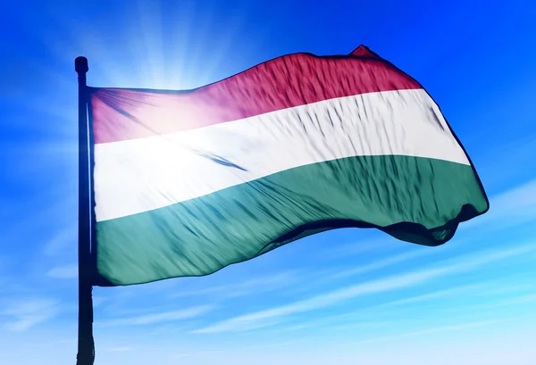 在风中挥舞着匈牙利国旗 — 图库照片