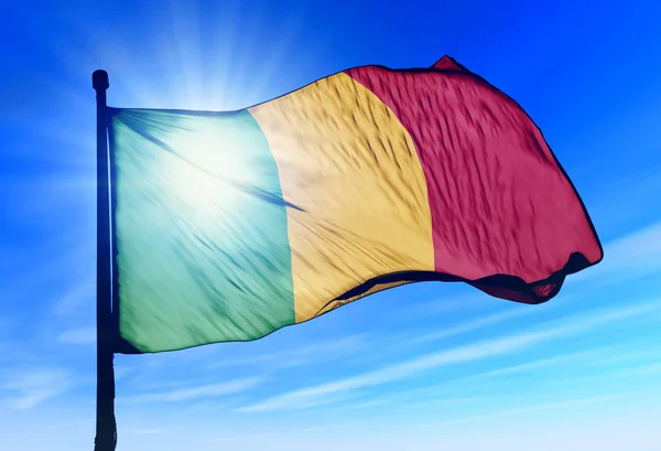 Mali flag waving on the wind — Stock Photo, Image