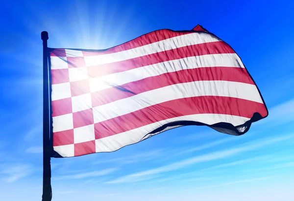 Rüzgarda sallayarak bremen (ger) bayrağı — Stok fotoğraf