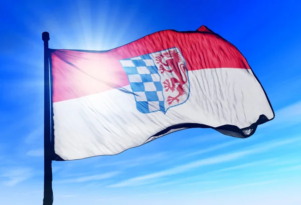 Флаг Нижней Баварии (ГЕР), развевающийся на ветру — стоковое фото