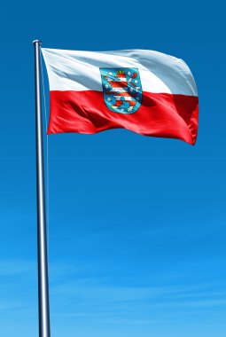 rüzgarda sallayarak Thüringen (ger) bayrağı