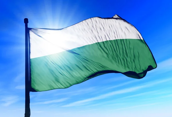 Saxony (GER) flag waving on the wind — Stock Photo, Image