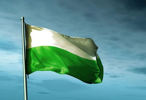 Saxony (GER) flag waving on the wind — Stock Photo, Image