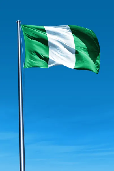 Bandera de Nigeria ondeando en el viento — Foto de Stock