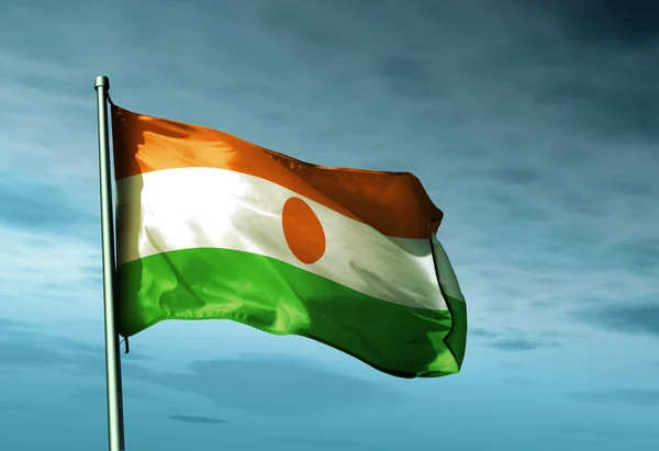 Niger flag waving on the wind — Stock Photo, Image