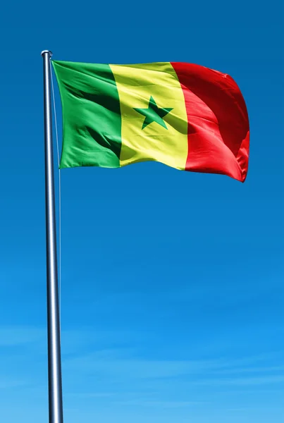 Senegalská vlajka vlaje ve větru — Stock fotografie