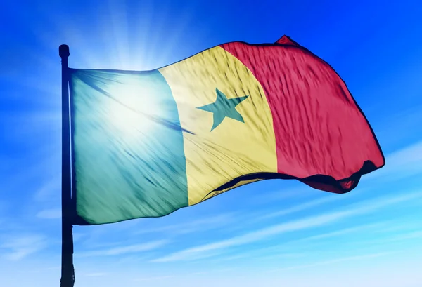 Senegalese vlag wapperend op de wind — Stockfoto