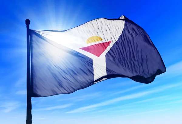 Bandera de San Martín ondeando al viento Fotos de stock libres de derechos