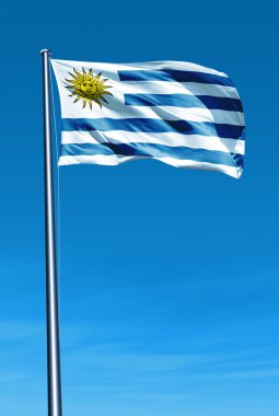 rüzgarda sallayarak uruguay bayrağı
