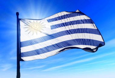 rüzgarda sallayarak uruguay bayrağı