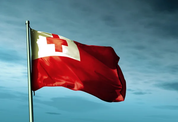 Tonga flag waving on the wind — Stock Photo, Image