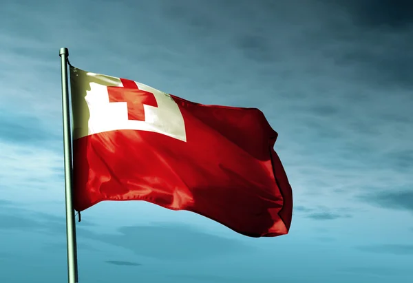 Bandera de Tonga ondeando en el viento —  Fotos de Stock