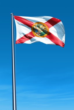 rüzgarda sallayarak florida (ABD) bayrağı