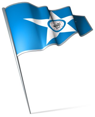 houston (ABD bayrağı)