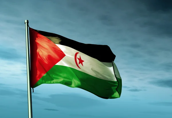 Western Sahara flag waving on the wind — Stock Photo, Image