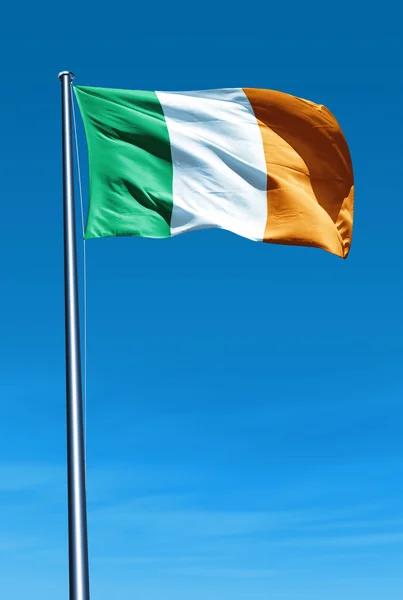 rüzgarda sallayarak İrlanda bayrağı
