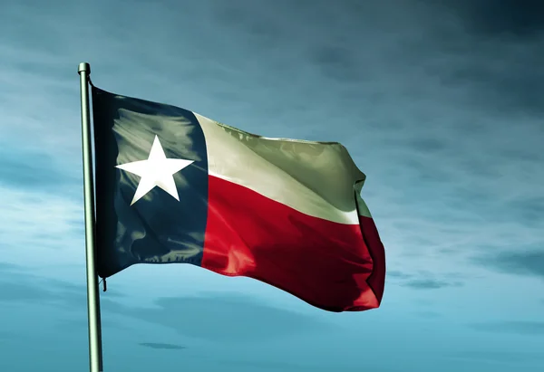 Bandera de Texas (EE.UU.) ondeando al viento Imágenes de stock libres de derechos