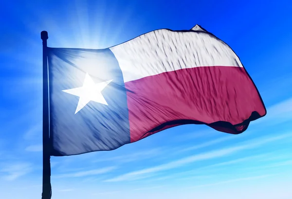 Bandera de Texas (EE.UU.) ondeando al viento Fotos de stock