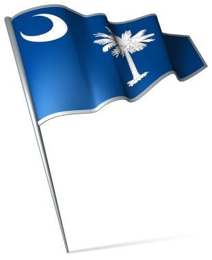 Güney carolina (ABD bayrağı) 