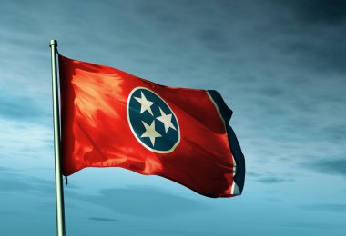 rüzgarda sallayarak tennessee (ABD) bayrağı