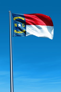rüzgarda sallayarak north carolina (ABD) bayrağı