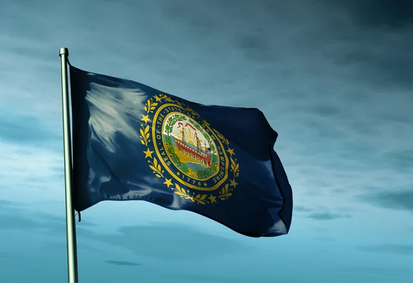 New Hampshire (USA) flag waving on the wind — Stock Photo, Image