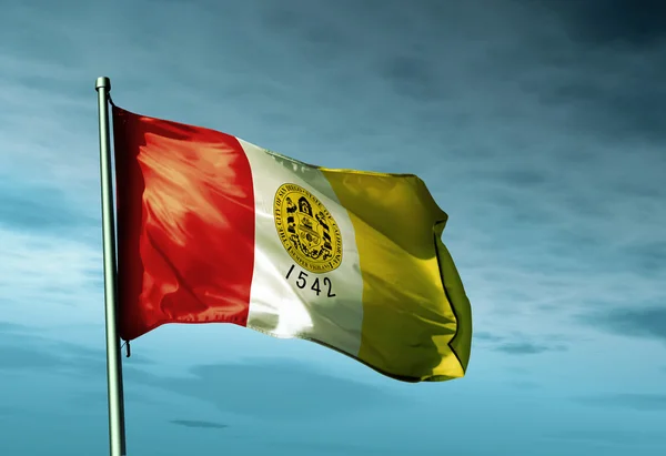 San Diego (SUA) steag fluturând pe vânt — Fotografie, imagine de stoc