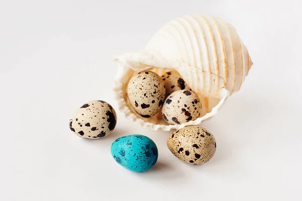 Окрашенные Перепелиные Яйца Скорлупу Светлом Фоне — стоковое фото