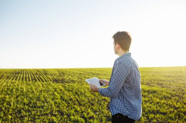 Genç çiftçi, gelecek analizler için yeni mahsulün verilerini tablete yerleştiriyor. Agronomist son tohumların kalitesini ve gelişimini kontrol ediyor. Teknoloji ve tarım kavramı