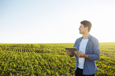Agronomist elinde tabletle genç yeşil buğday tarlasında duruyor ve ileriki analizler için sunucuya groth ilerleme verileri gönderiyor. Bahar tohumlama kavramı