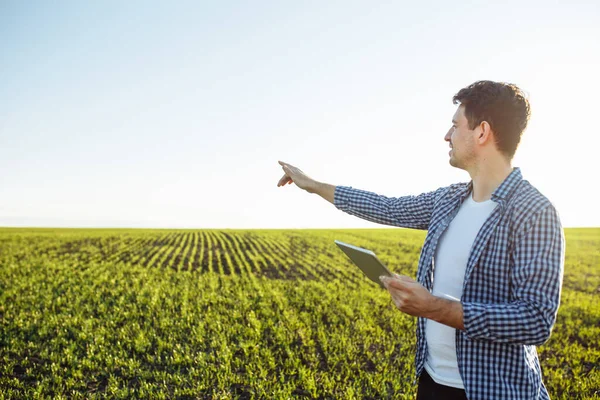 アグロモニストは彼の手のタブレットで作物の進行状況をチェックする緑の若い小麦畑に立っています 農家は畑を調べ 植物の状態を評価します — ストック写真