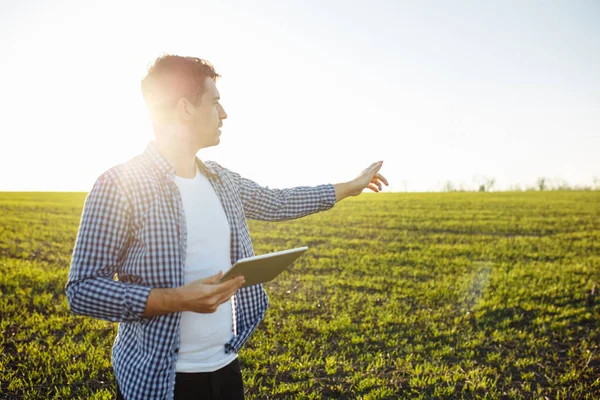 若い農夫は手にタブレットを持って緑の小麦畑の真ん中に立っている 農学者は 新しい種子の品質と成長の進捗状況を調べます 健康食品技術の概念 — ストック写真