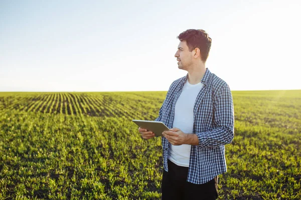 Farm worker stands with the tablet in his hands at the green young wheat field. Agronomist explores and checks the quality and the progress of the new crop growth