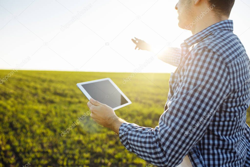 Close shot of a farmer with tablet in his hands standing at the green field. New wheat seeding at spring. Healthy food, technologies and farming concept