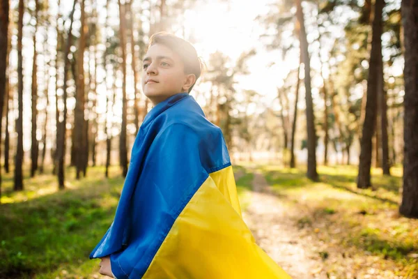 Young Man Wrapped Himself Ukrainian Flag Forest Independence Flag Peace Royalty Free Stock Photos