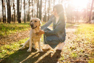 Güzel bir kız bahar ormanında labradoruna sarılıyor. Gün batımında kot elbiseli genç bir kadın ve bir köpek.