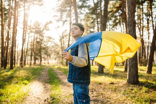 Ormanda Ukrayna bayrağı sallayan genç bir adam. Gün batımında mavi ve sarı bayraklı bir çocuk. Barış kavramı. Savaş yok.