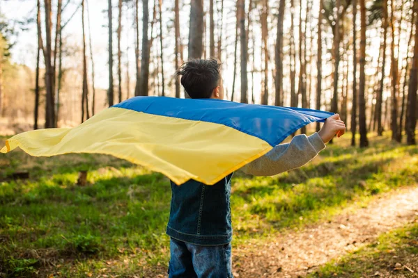 Çocuk elinde mavi-sarı bir bayrak ile koşuyor. Ukrayna bayrağı rüzgarda dalgalanıyor. Bağımsızlık ve barış kavramı. Savaş yok.