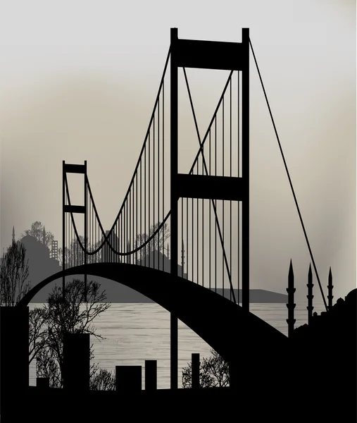 Istanbul and the bosphorus bridge — Stock Vector