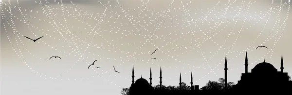 Silhouette Istanbul — Image vectorielle