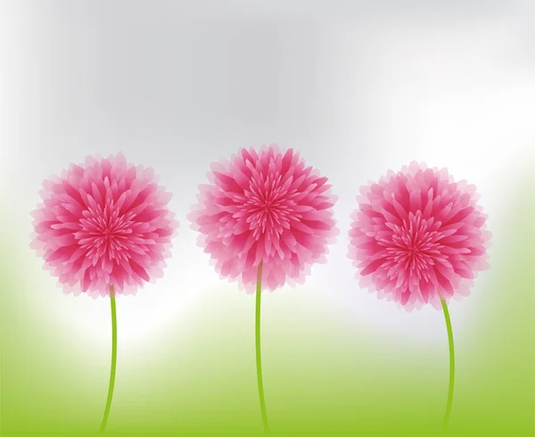 Flores rosadas en la naturaleza Ilustración De Stock