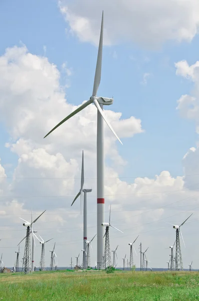 Wind turbines farm, Ukraine — Stock Photo, Image