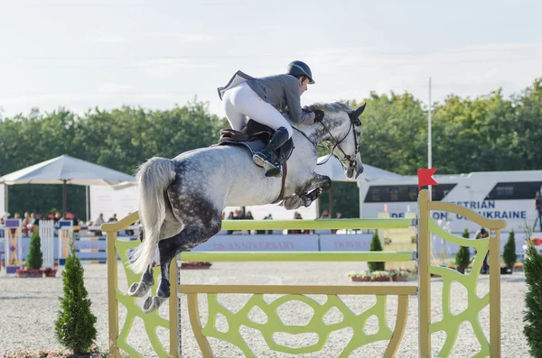 Donetsk, Ukrayna - 07 Eylül: Alman binici ludger beerbaum, 5 Uluslararası atlama turnuva donbass tur 2013 csi5