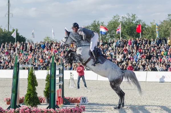 Donetsk, Ukrayna - 07 Eylül: Alman binici ludger beerbaum, 5 Uluslararası atlama turnuva donbass tur 2013 csi5